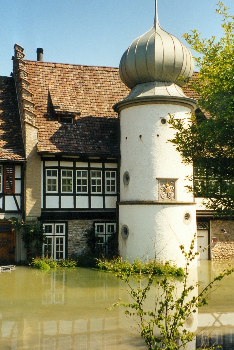 bild24