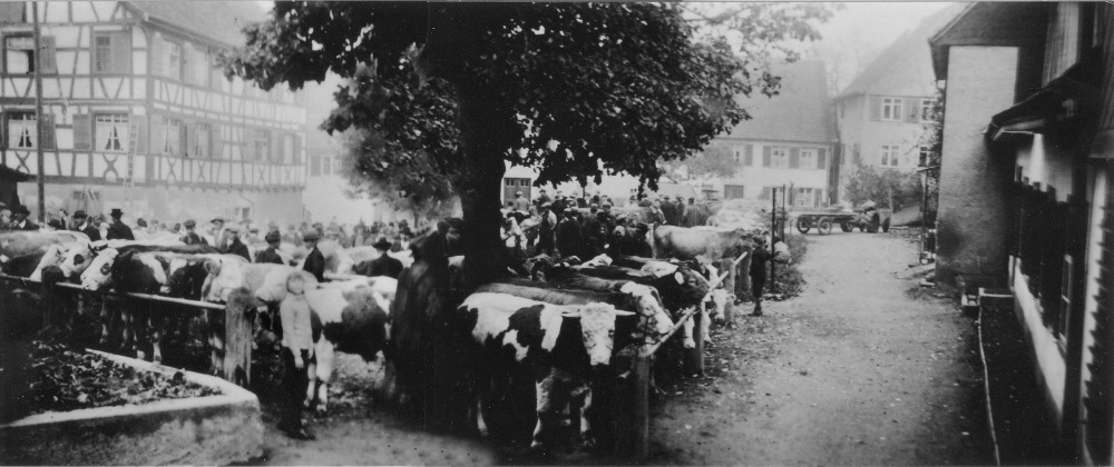 kehlhof4