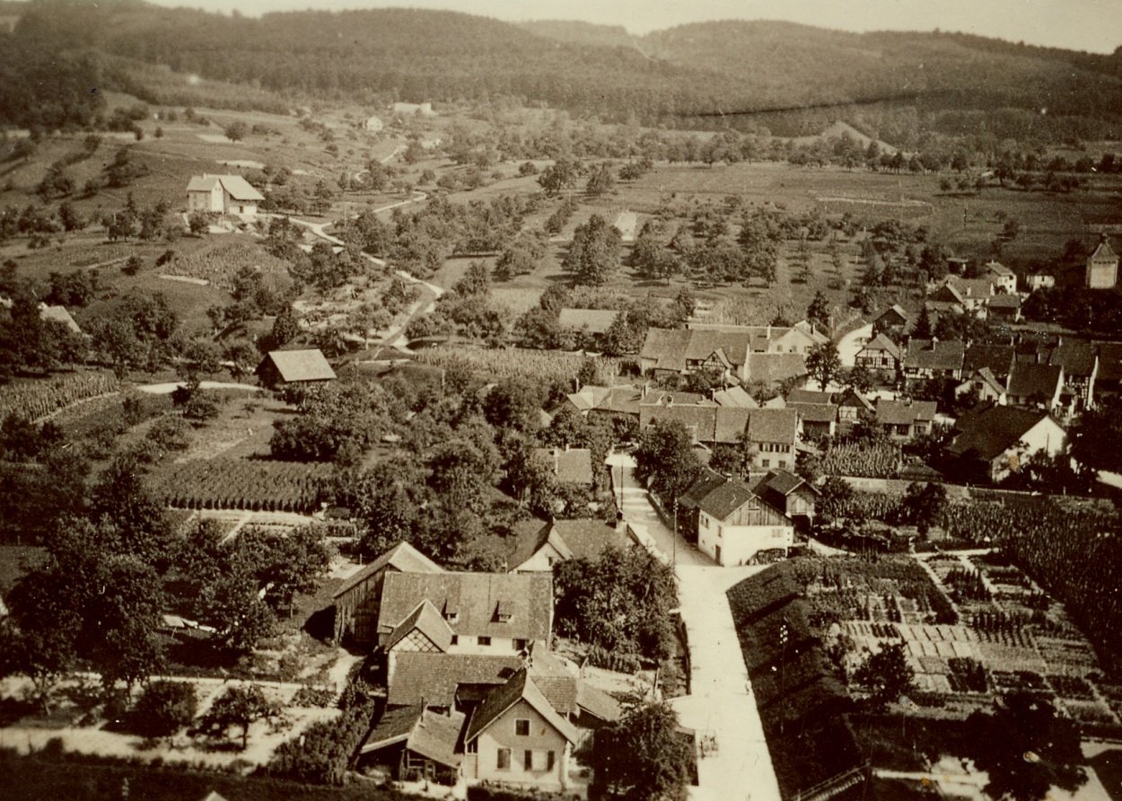 vaterland11