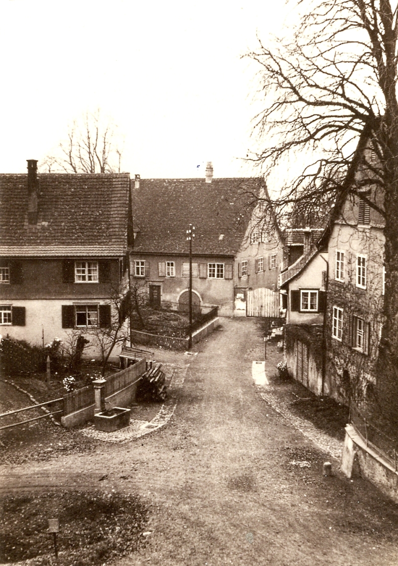 seehof1