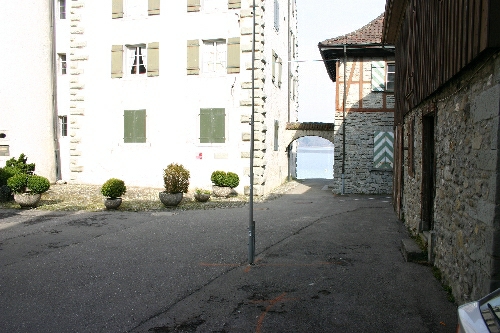 bild37